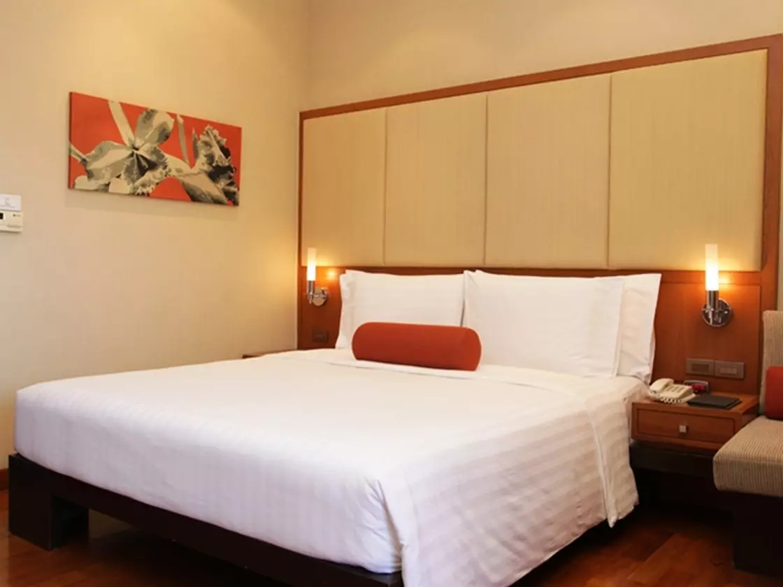 AMARIGAARDEN_SHABAVIZ (3).jpg